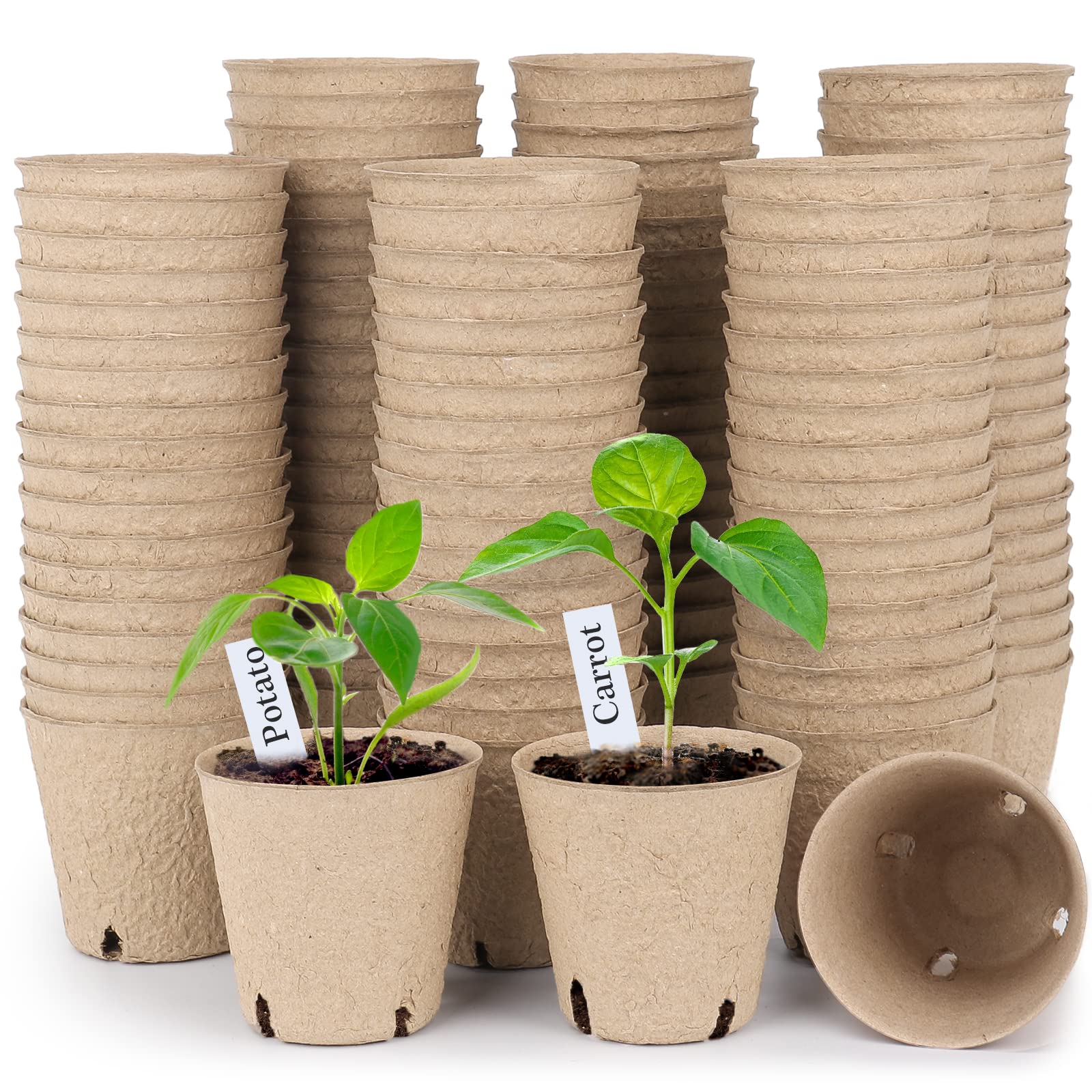 homenote 120 Pcs 3.15 Inch Peat Pots front view