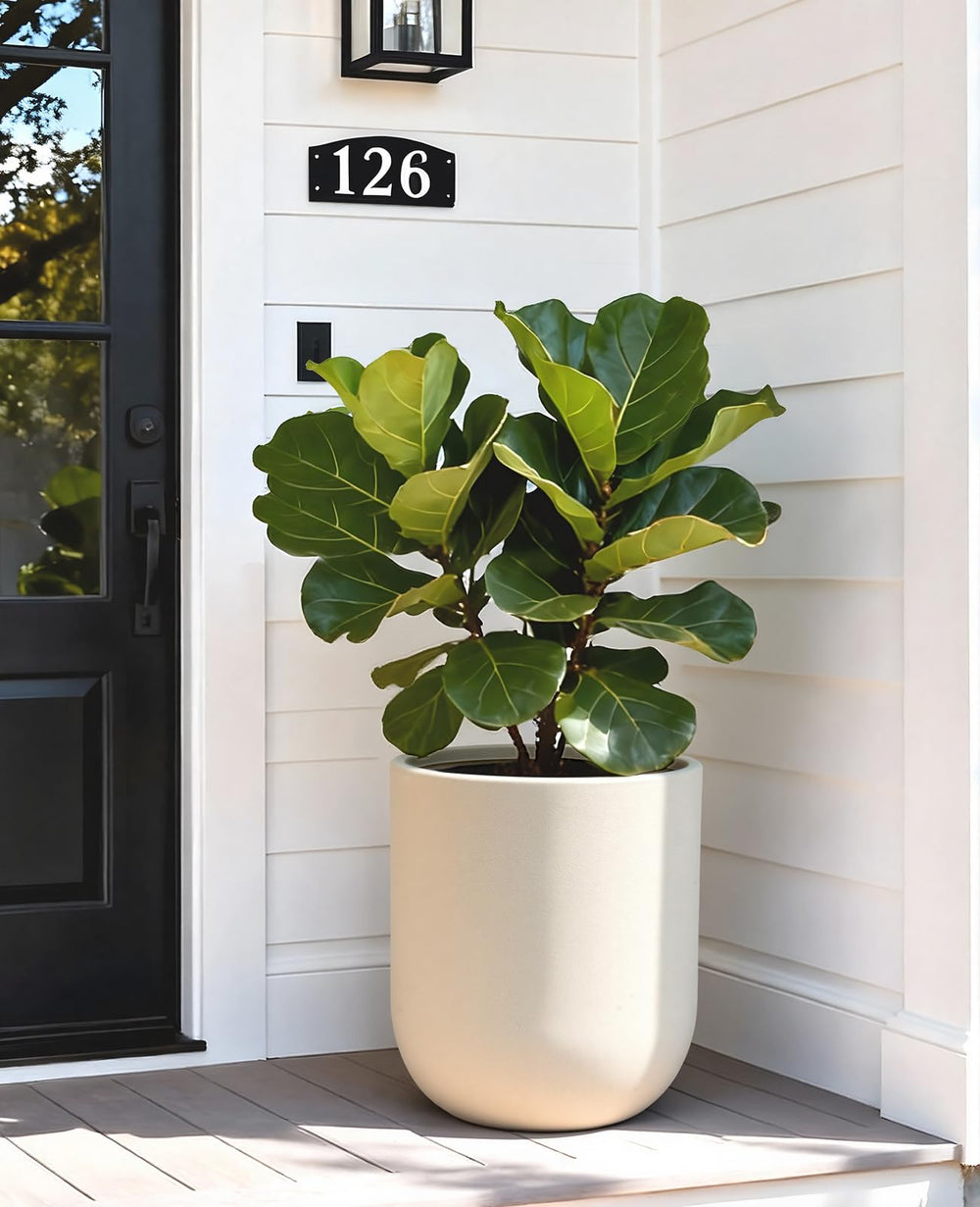 homenote 13 Inch Large Plastic Planter with stylish design