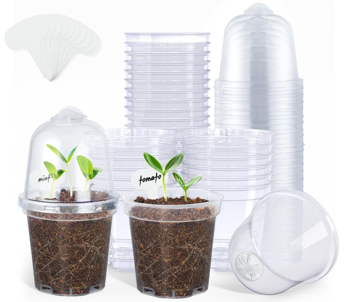 homenote 3 Inch Nursery Pots clear design with lid
