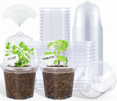 homenote 4 Inch Clear Nursery Pot with Humidity Dome