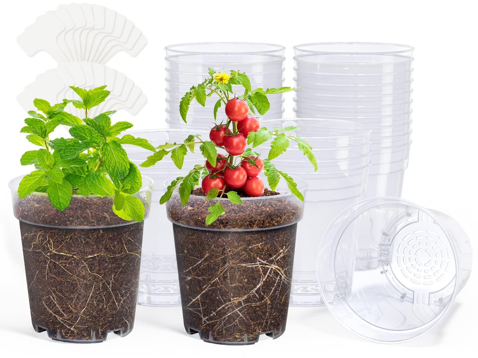 homenote 5 Inch Clear Nursery Pot front view with transparent design