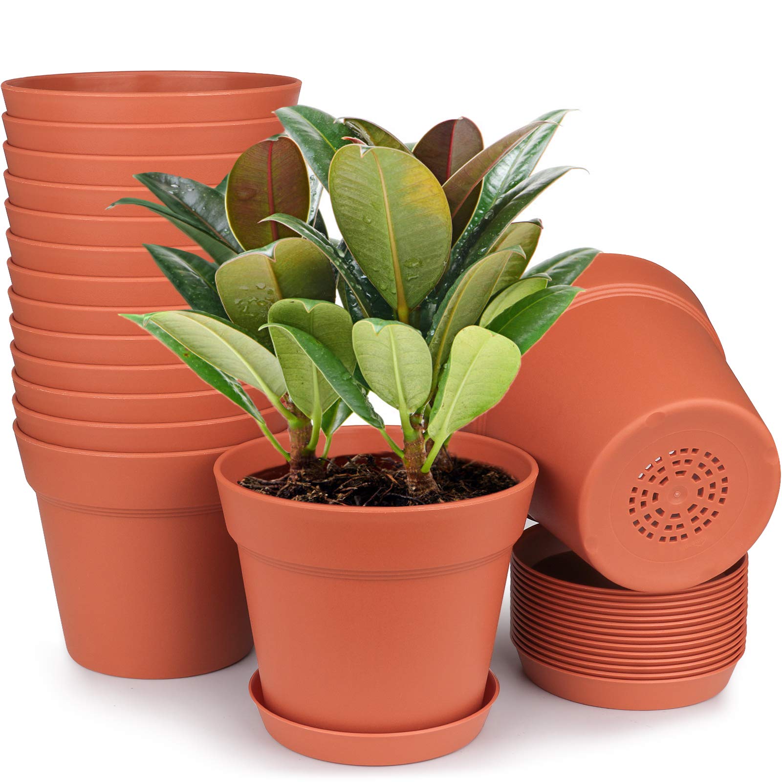 homenote 6 Inch Plastic Flower Pot front view with drainage holes