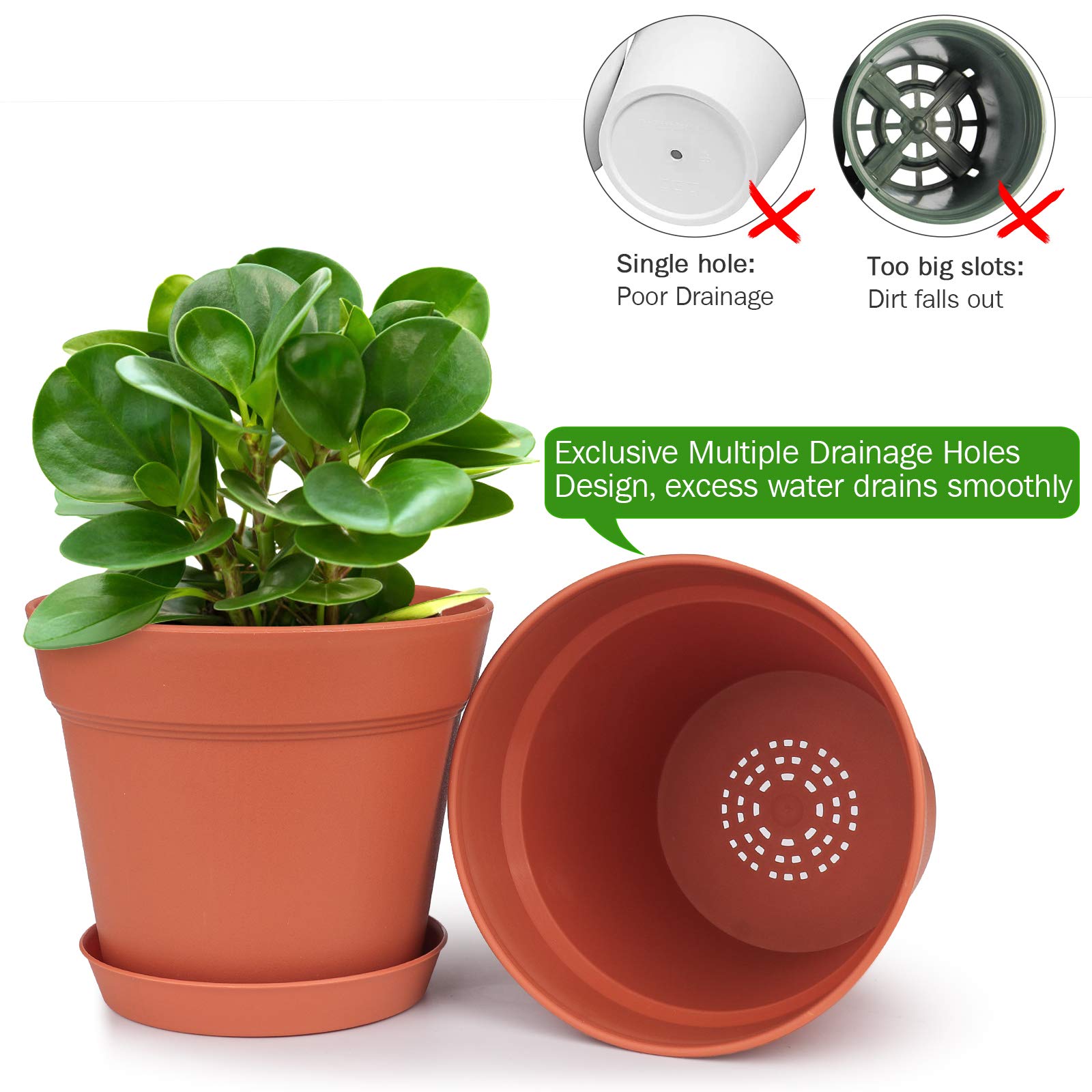 homenote 6 Inch Plastic Flower Pot with snake plant
