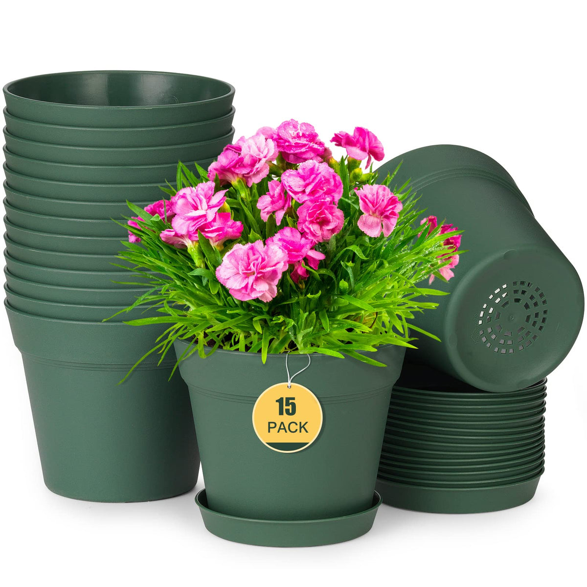 homenote 6 Inch Plastic Plant Pot with drainage holes and saucer