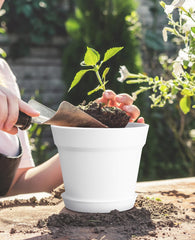 homenote 6 Inch Plastic Plant Pots set in white and terra cotta