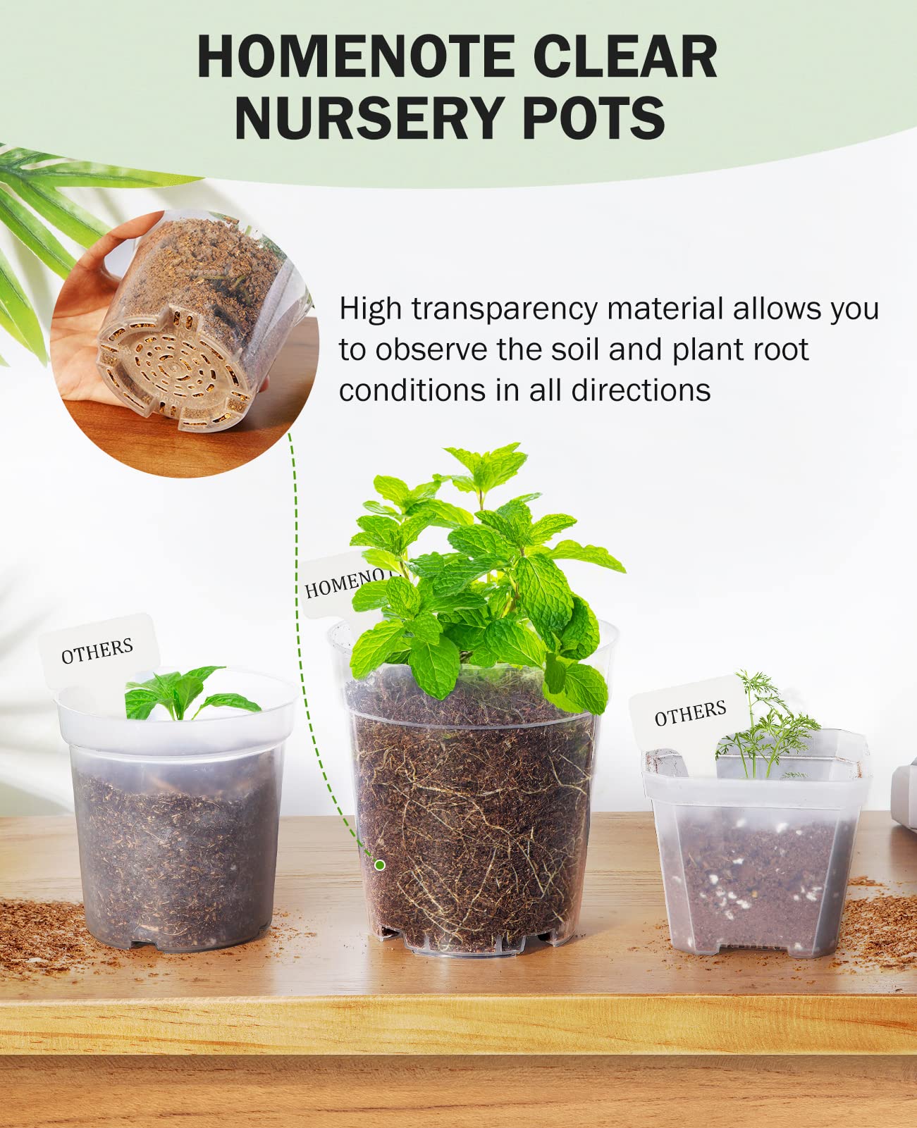 homenote clear nursery pot with a plant growing inside