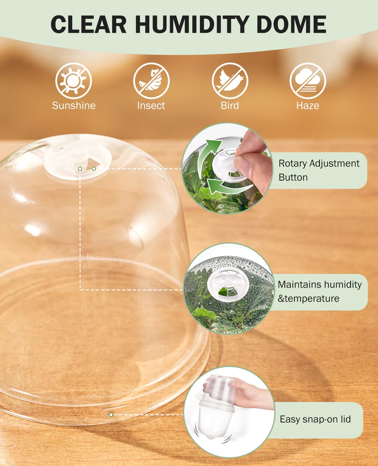 homenote clear nursery pot with plant label