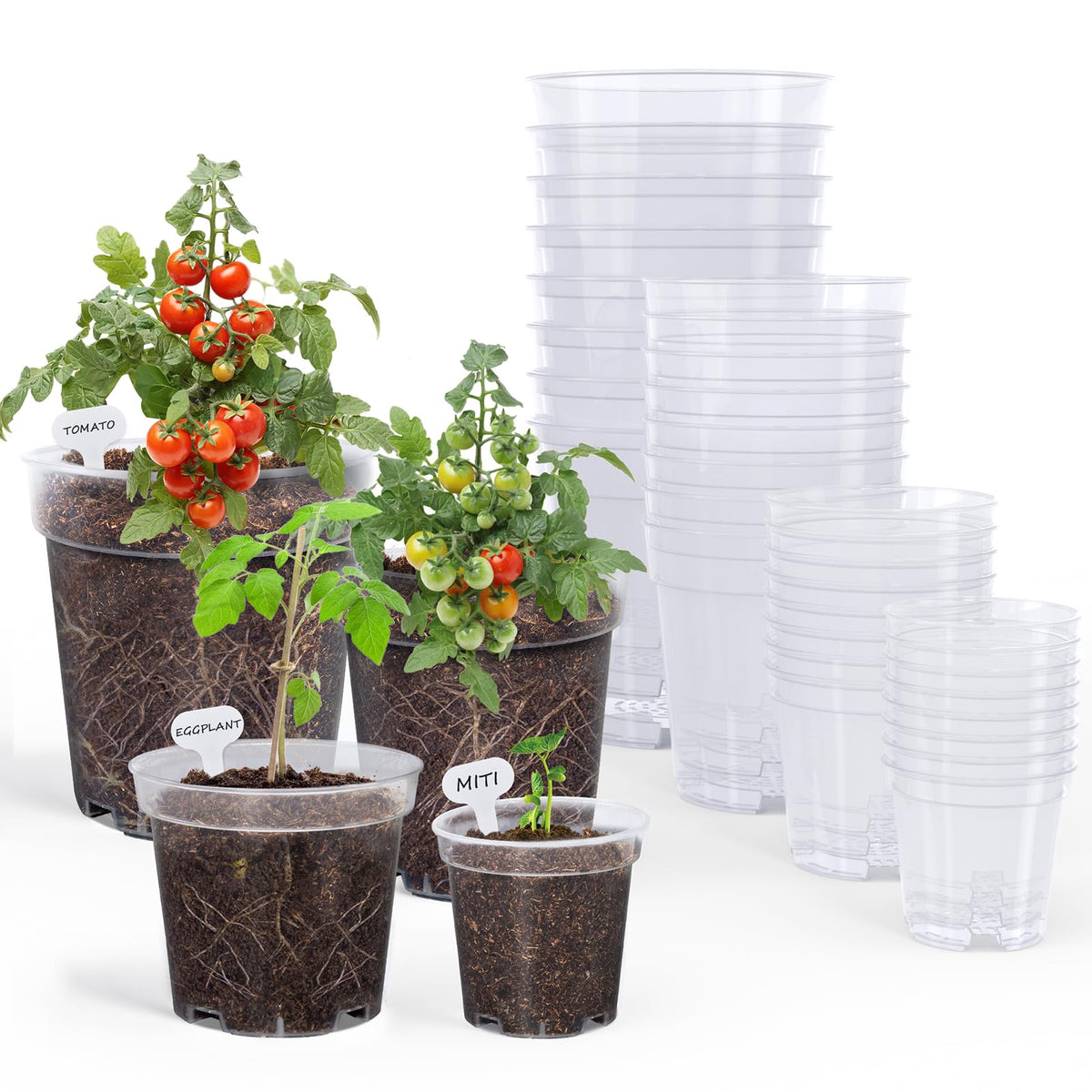 homenote clear nursery pots 3 inch front view