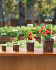 homenote clear nursery pots 6.7 inch stacked