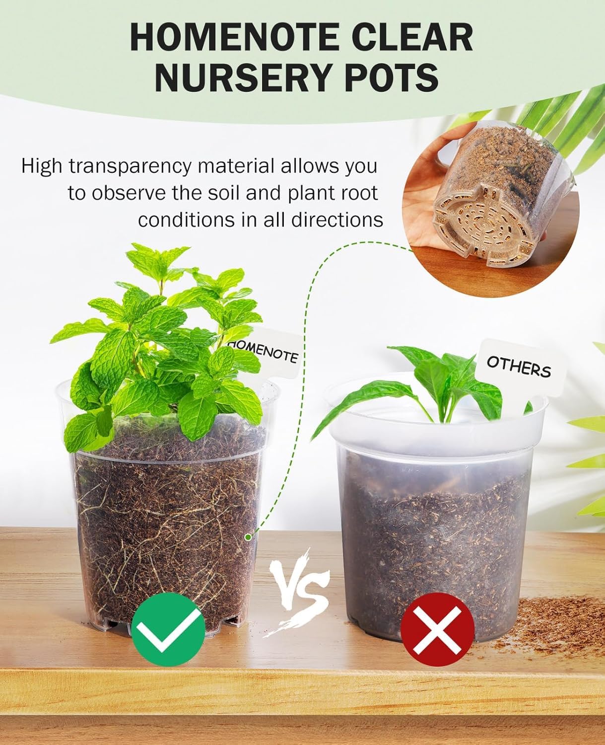 homenote clear nursery pots showing drainage holes