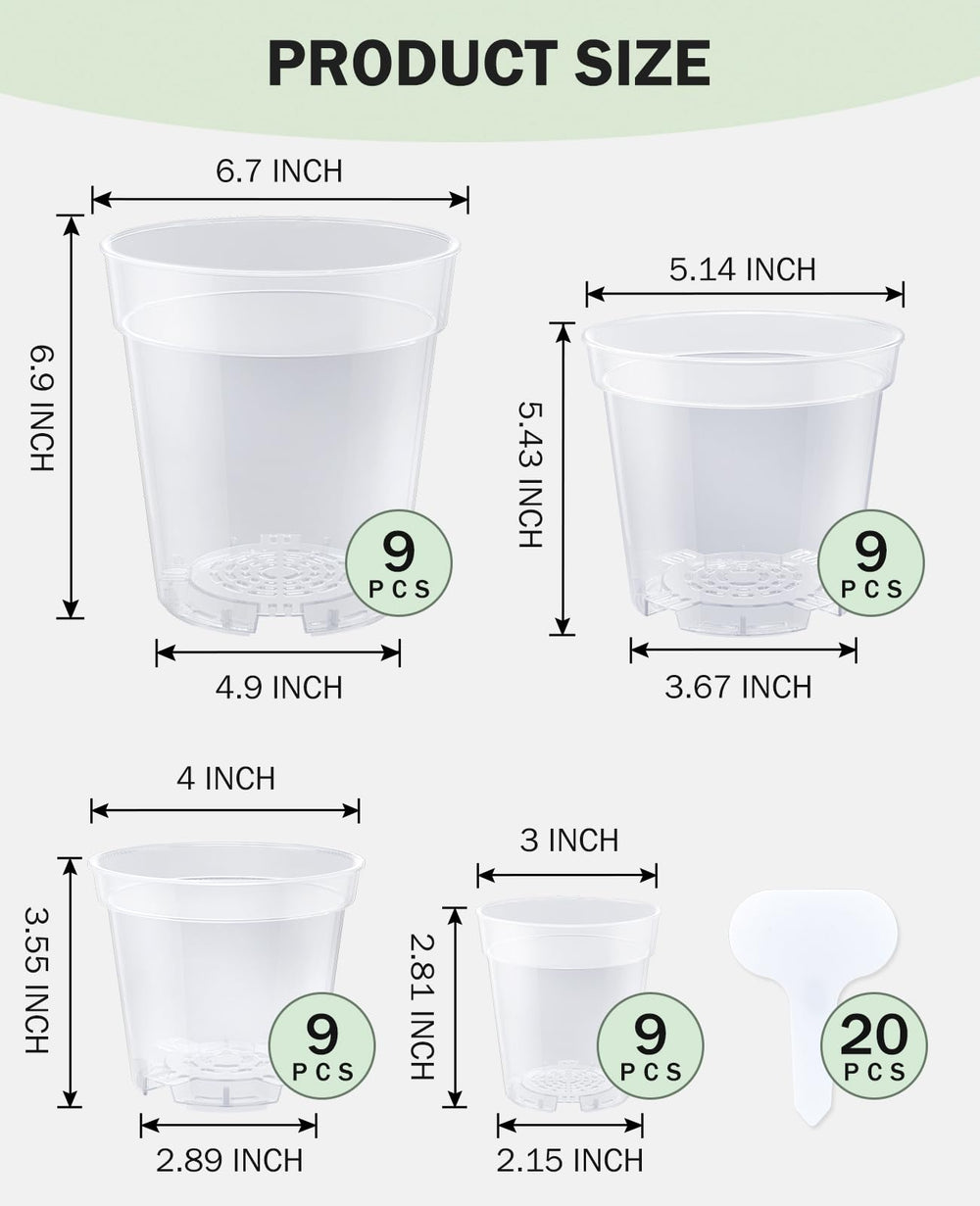 homenote clear nursery pots with seedlings