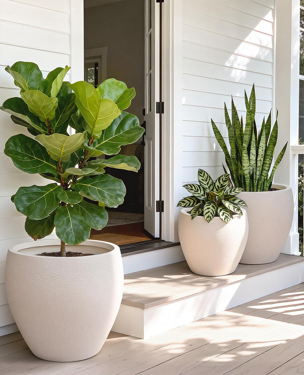 homenote flower pots displaying removable rubber plugs