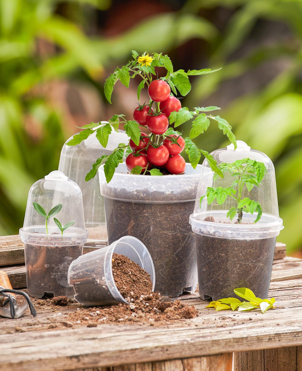 homenote nursery pots showing drainage holes