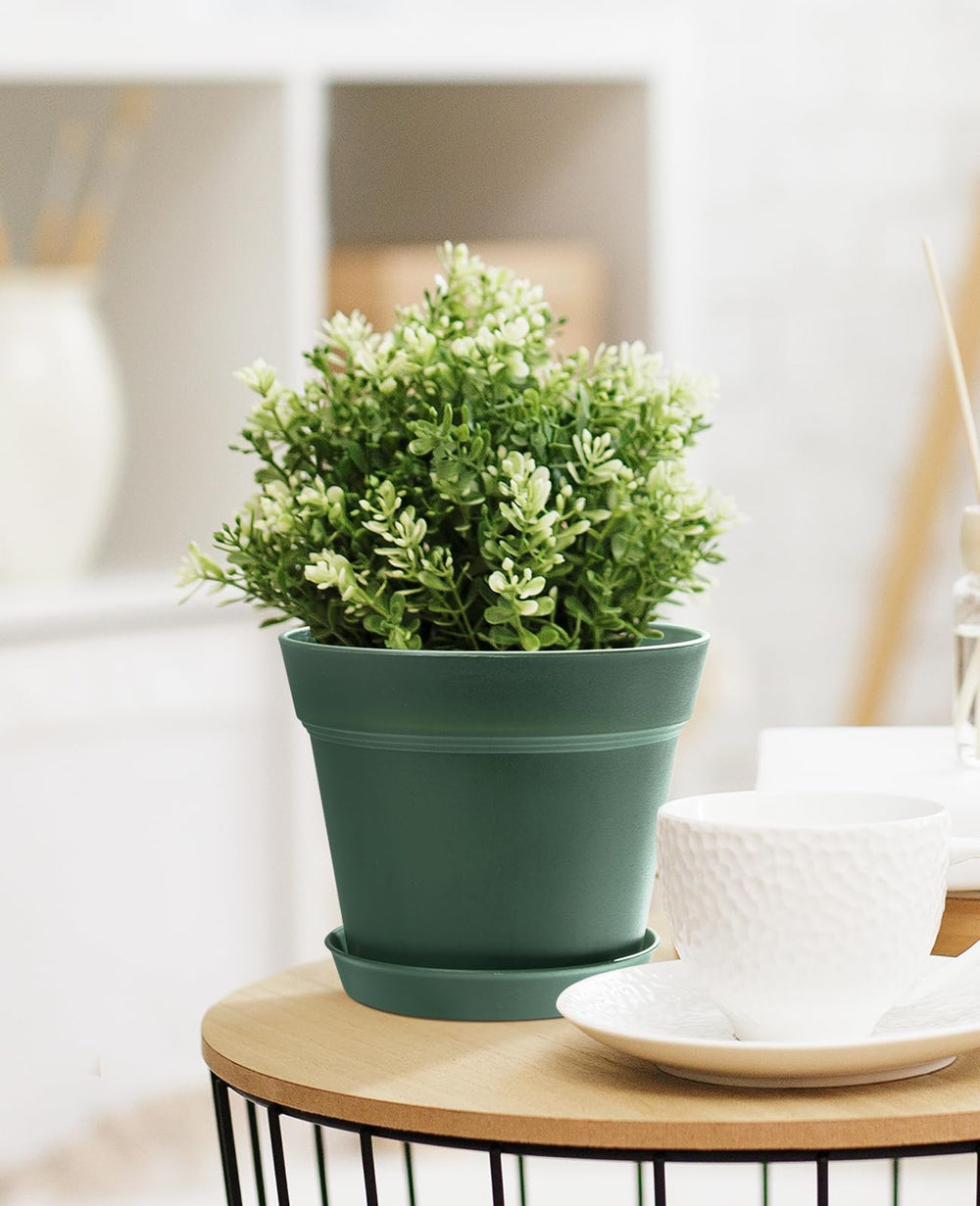 homenote plastic plant pot on a windowsill with plants