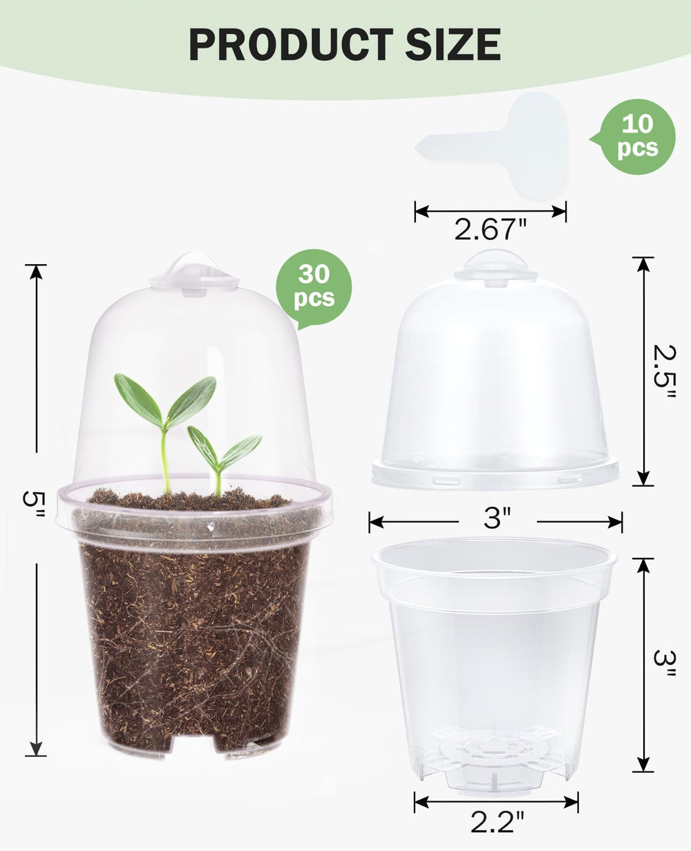 homenote pots for seedlings with clear view