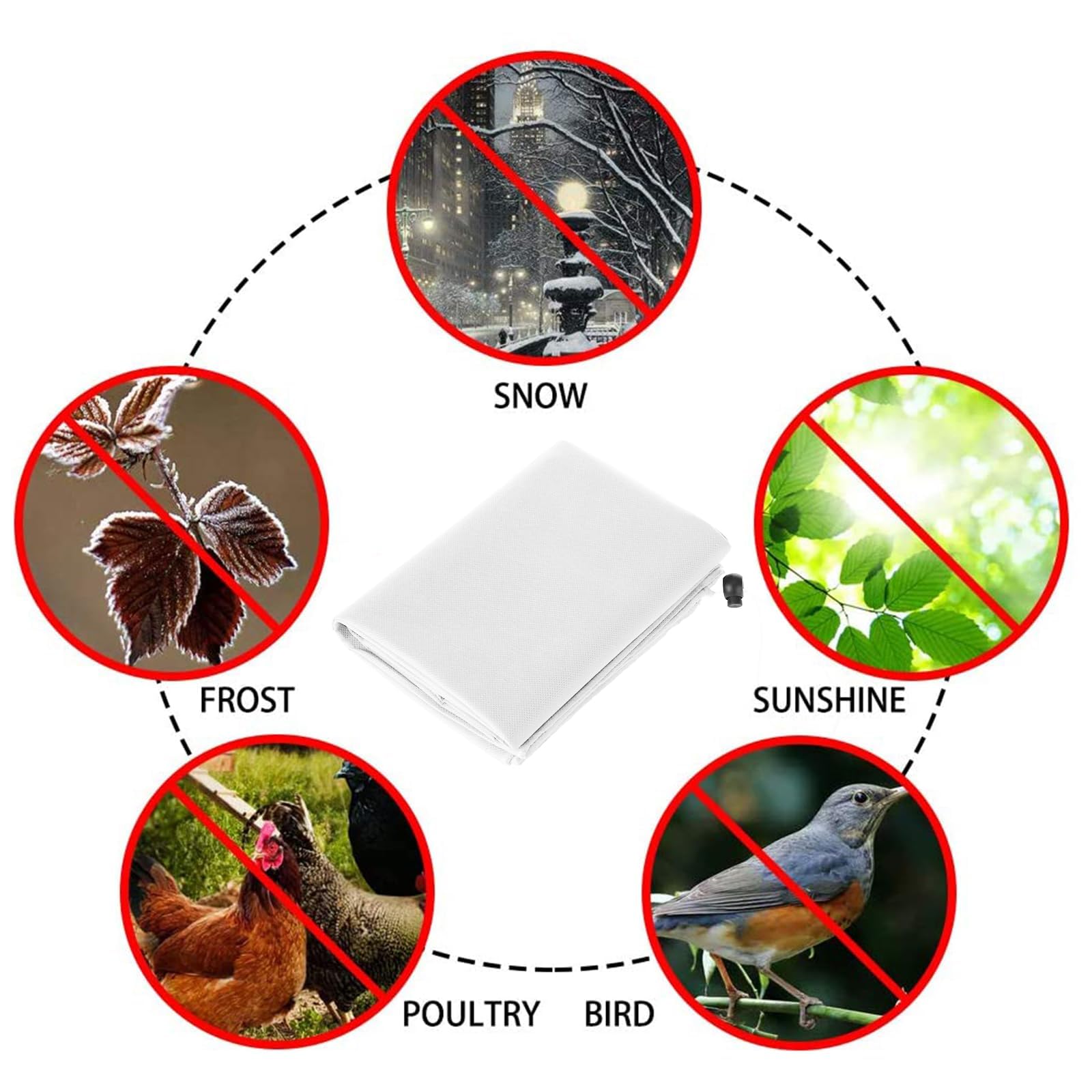Homimp plant covers protecting potted plants