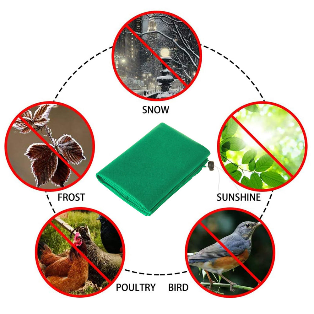 Homimp Plant Covers protecting small fruit trees during winter