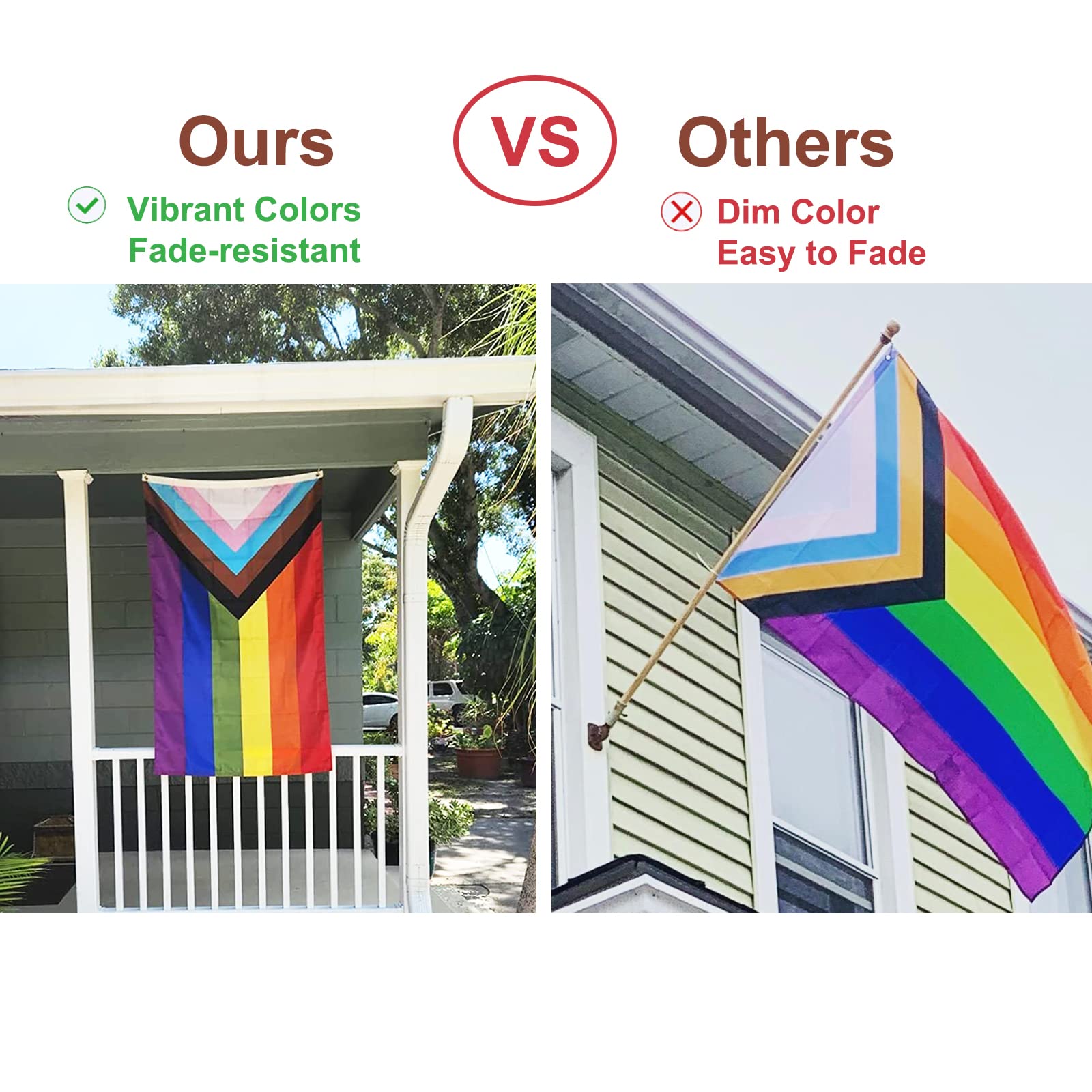 Homissor Progress Pride Flag displayed in a garden