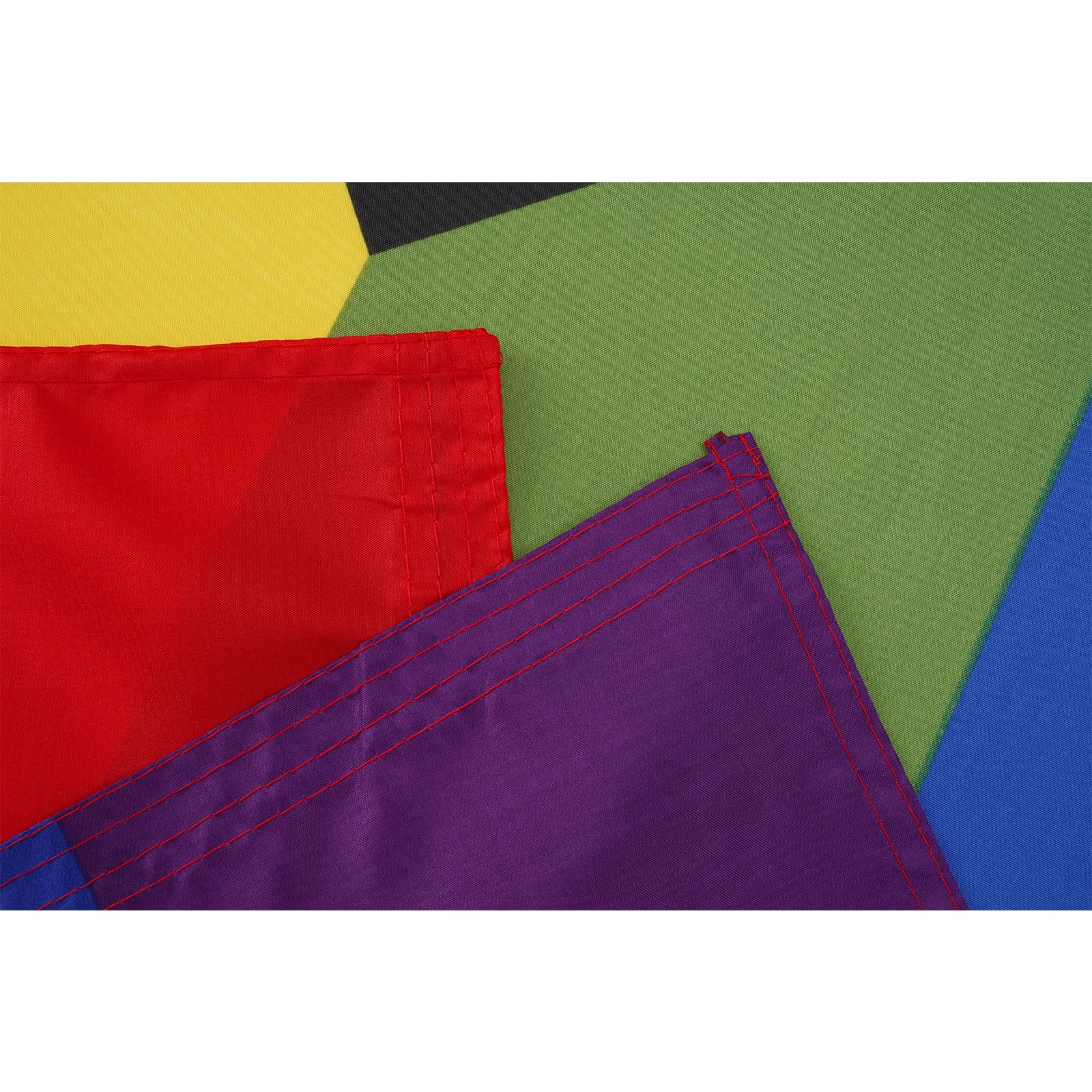Homissor Progress Pride Flag hanging outdoors