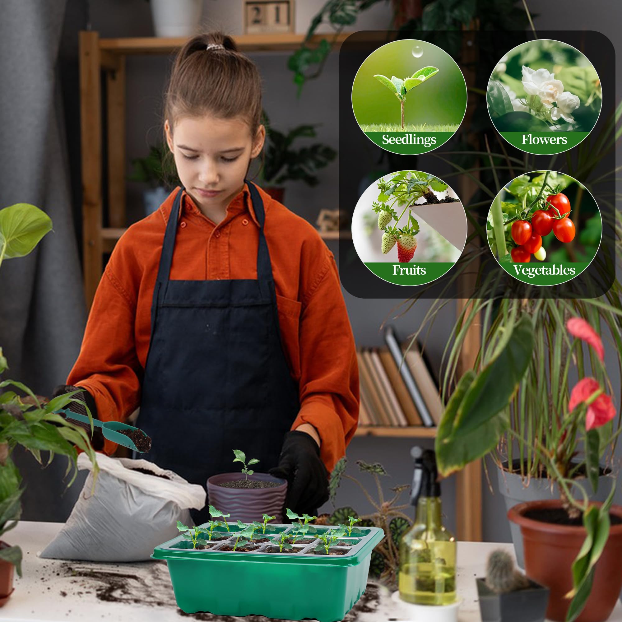 Homiton indoor gardening setup with seedlings