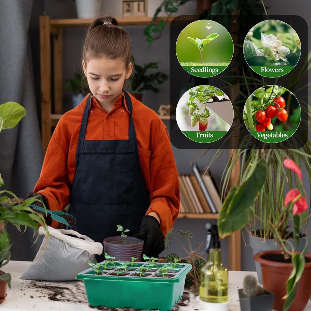 Homiton indoor gardening setup with seedlings