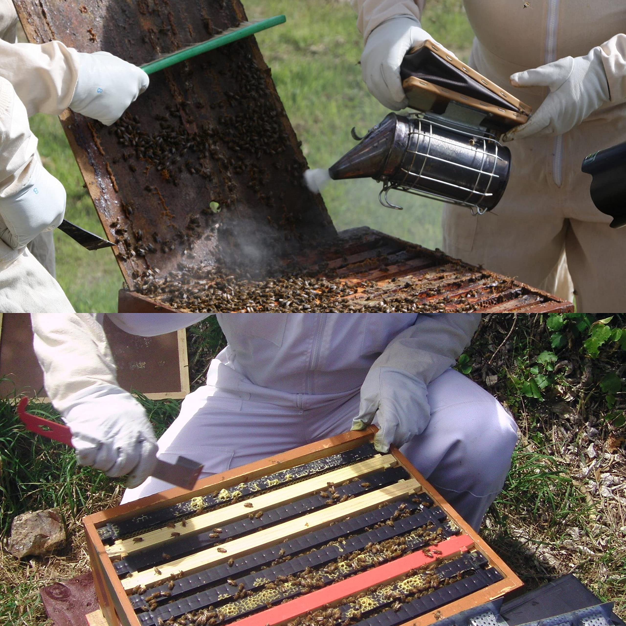 Honey Lake Beekeeping Tool Kit packaging view