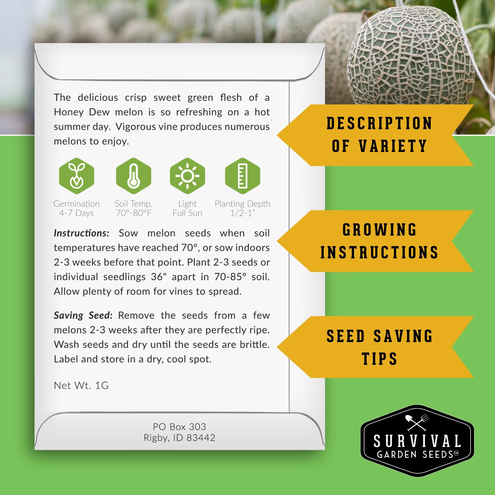 Honey Rock Cantaloupe seeds from the heirloom pack