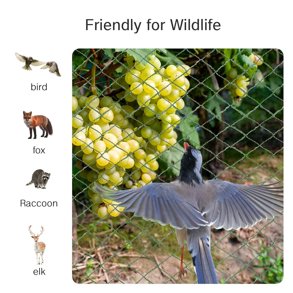 honsundy Anti Bird Netting cut to size for garden use