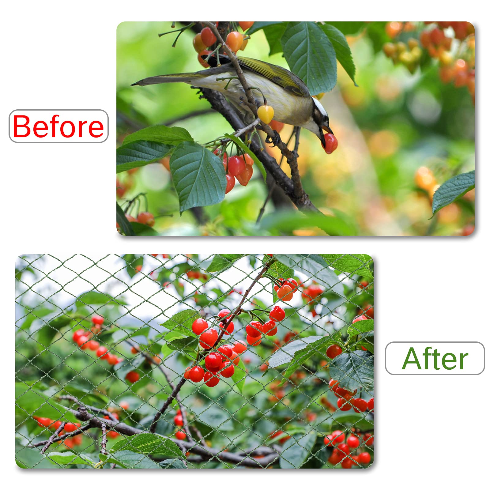 honsundy Anti Bird Netting protecting garden vegetables