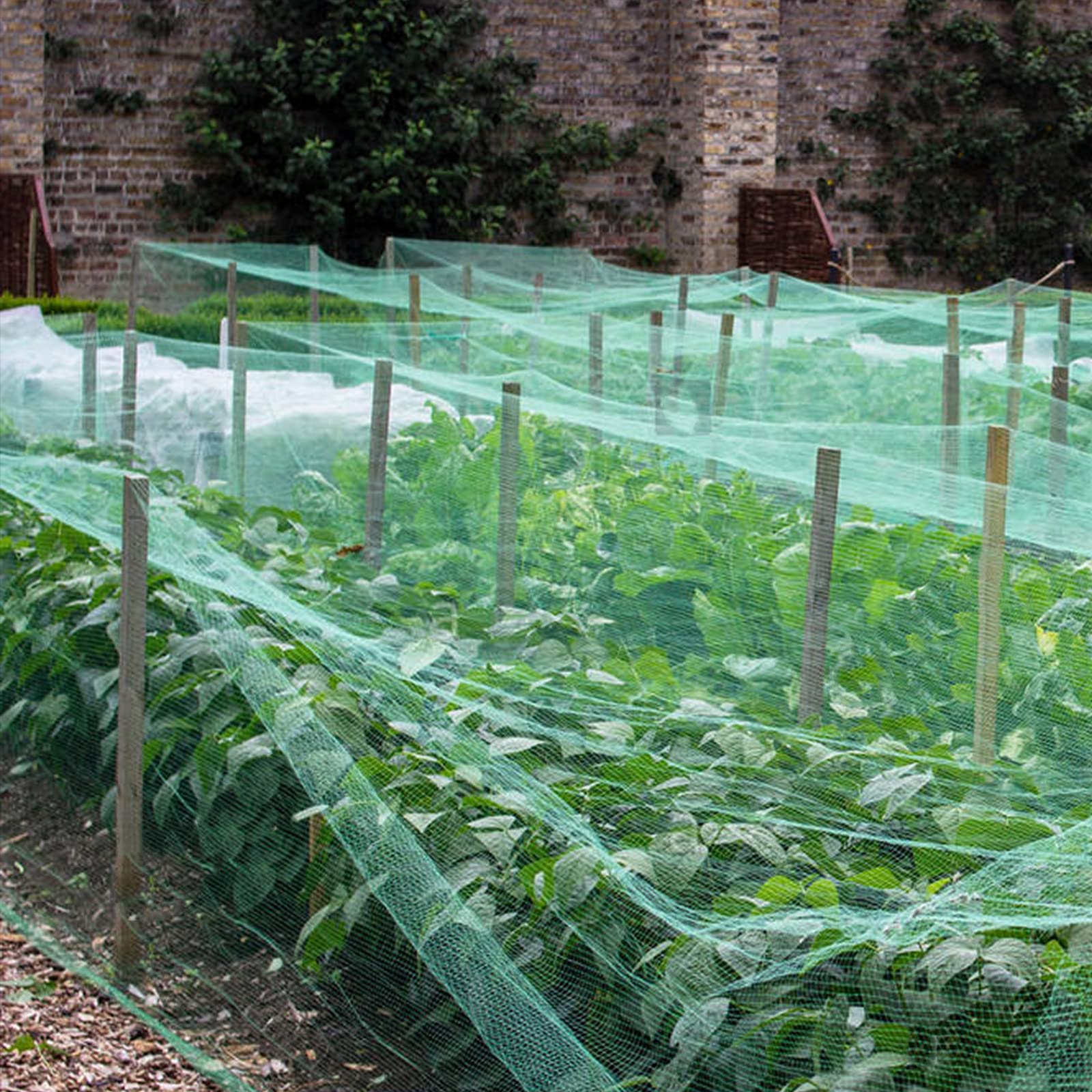 honsundy Anti Bird Netting spread out on garden fence
