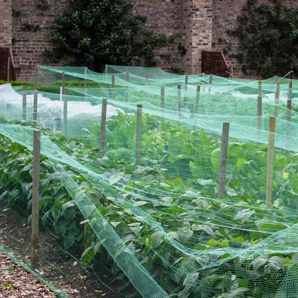 honsundy Anti Bird Netting spread out on garden fence