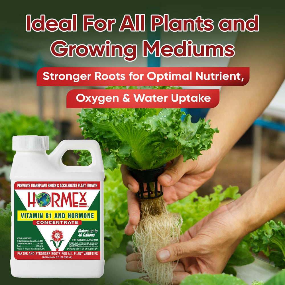 Hormex Liquid Rooting Hormone used on indoor houseplants