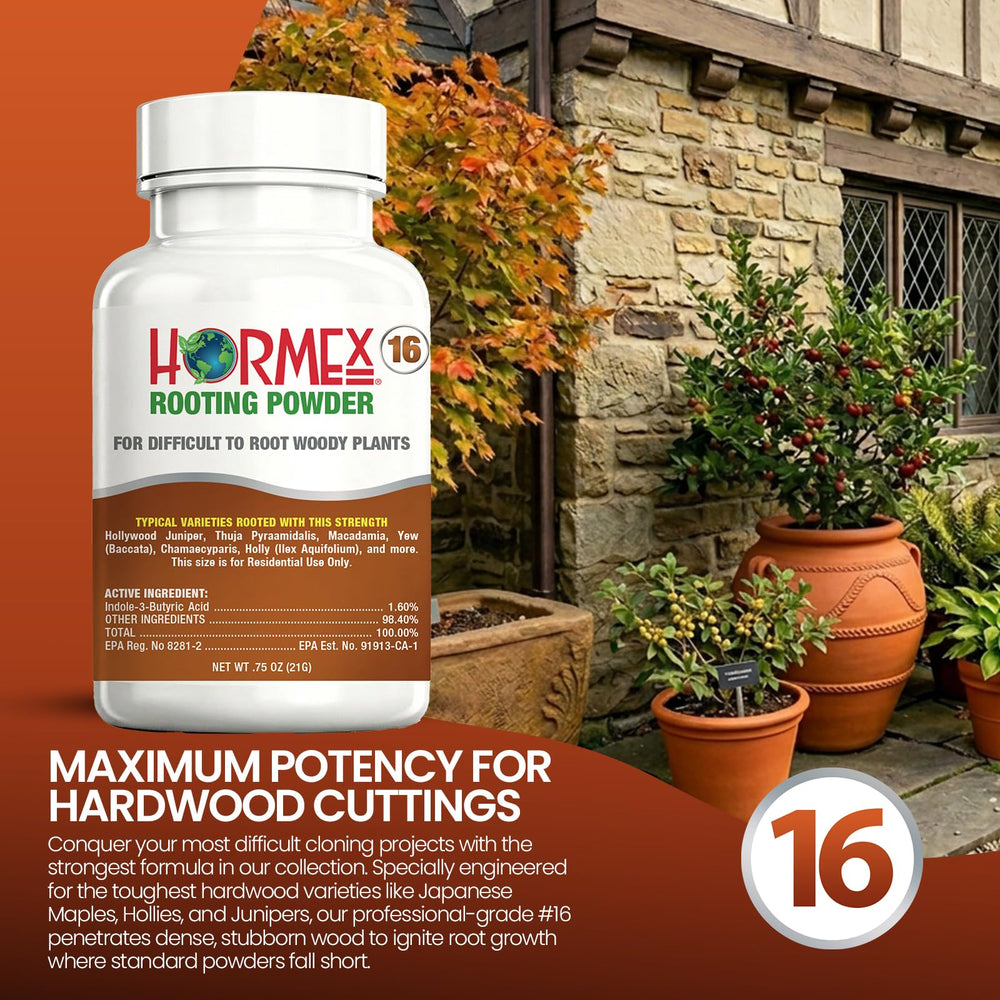 Hormex Rooting Hormone Powder #16 alongside Hormex Rooting Cubes