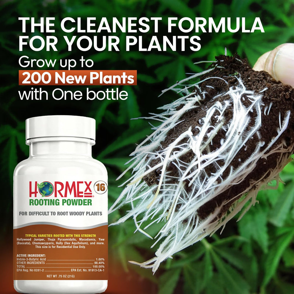 Hormex Rooting Hormone Powder #16 with measuring spoon for application