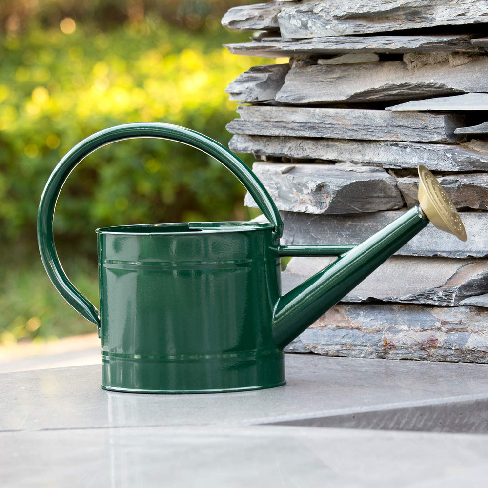 HORTICAN 1.3 Gallon Green Watering Can with removable spout close-up