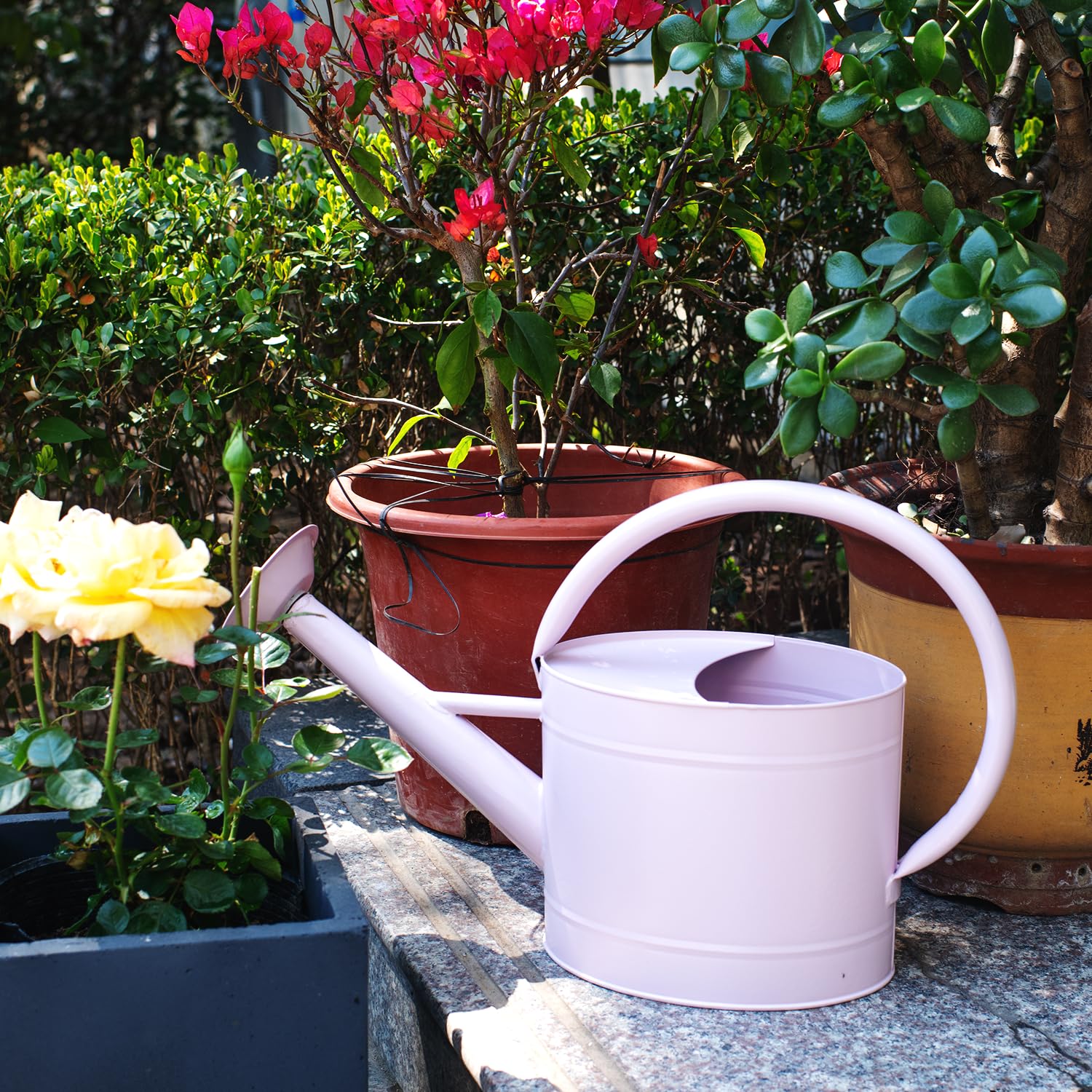 HORTICAN 1.3 Gallon Velvet Pink Watering Can in a garden setting