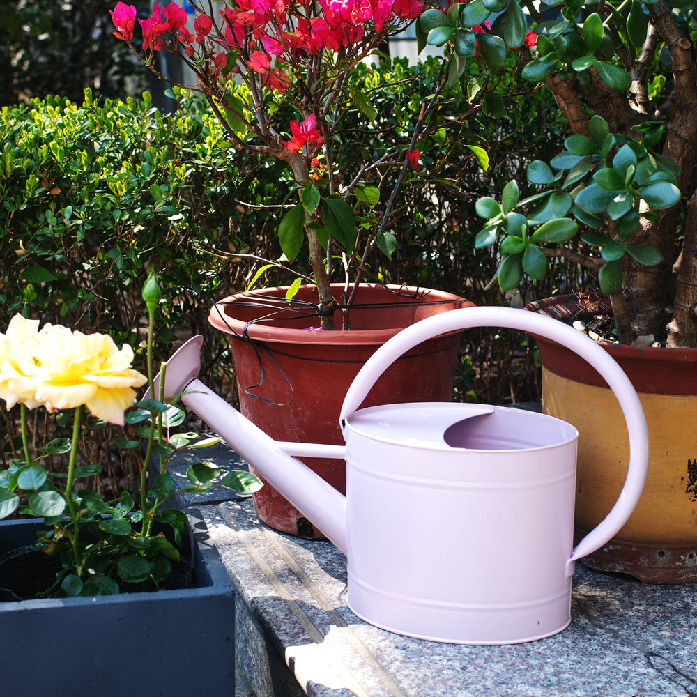 HORTICAN 1.3 Gallon Velvet Pink Watering Can in a garden setting