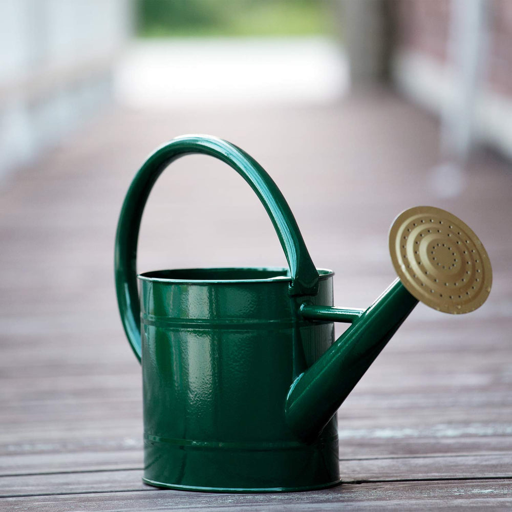 HORTICAN 1.3 Gallon Watering Can packaging display