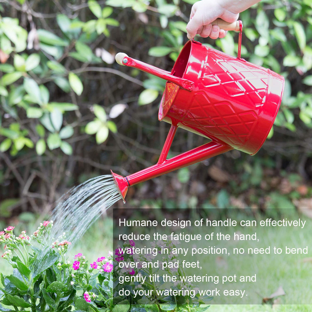 HORTICAN 1 Gallon Red Watering Can with removable spout