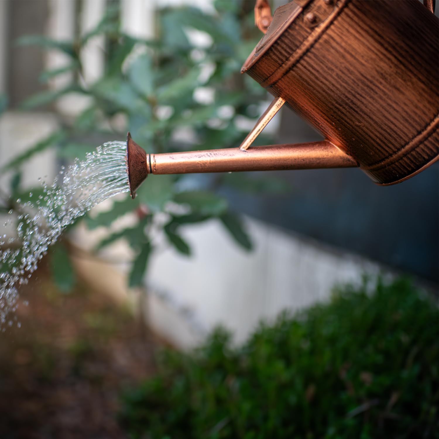 HORTICAN Copper Watering Can in garden setting
