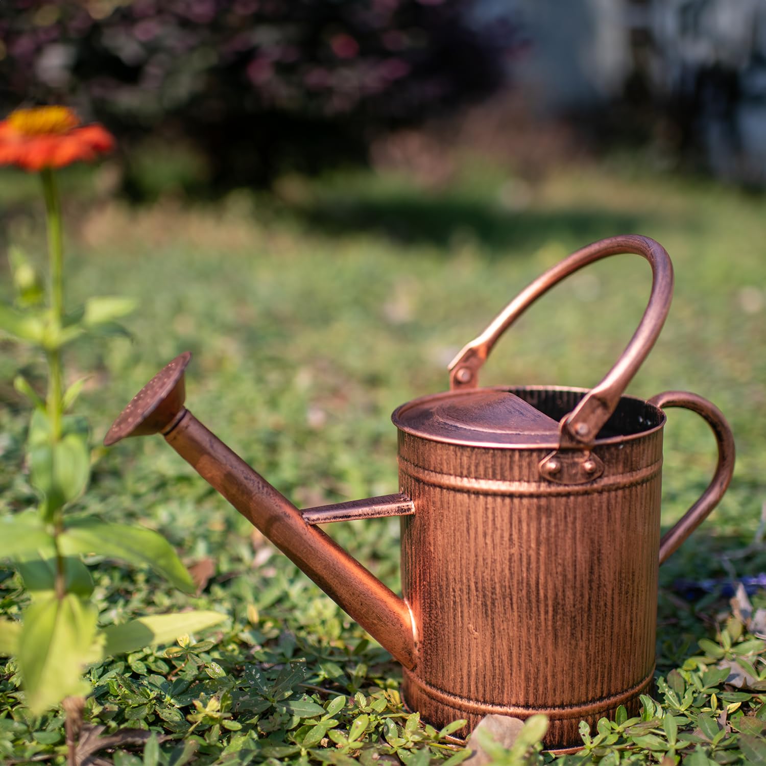 HORTICAN Copper Watering Can with plants