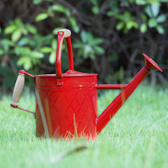 HORTICAN watering can in a garden setting