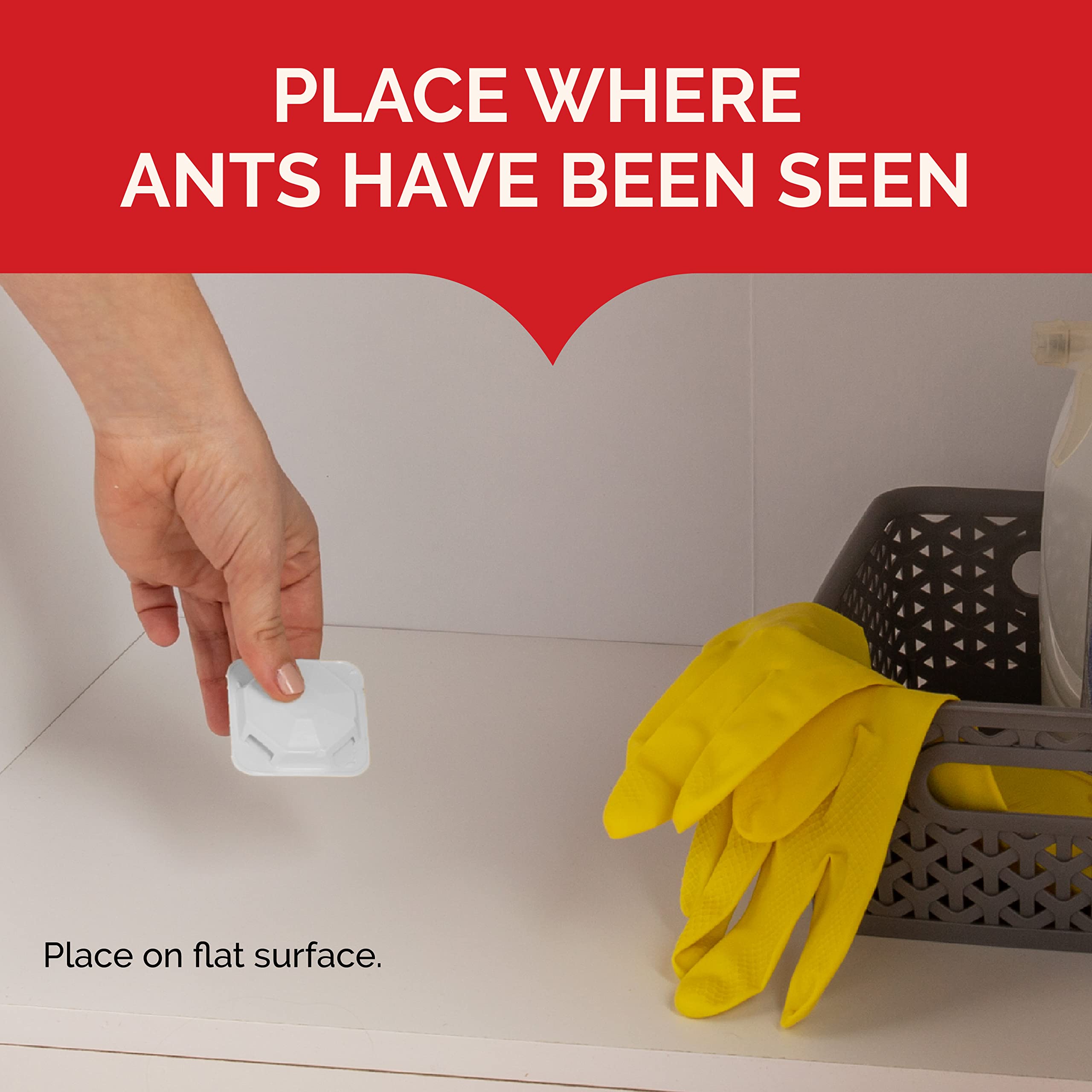 HOT SHOT MaxAttrax Ant Bait station under a sink