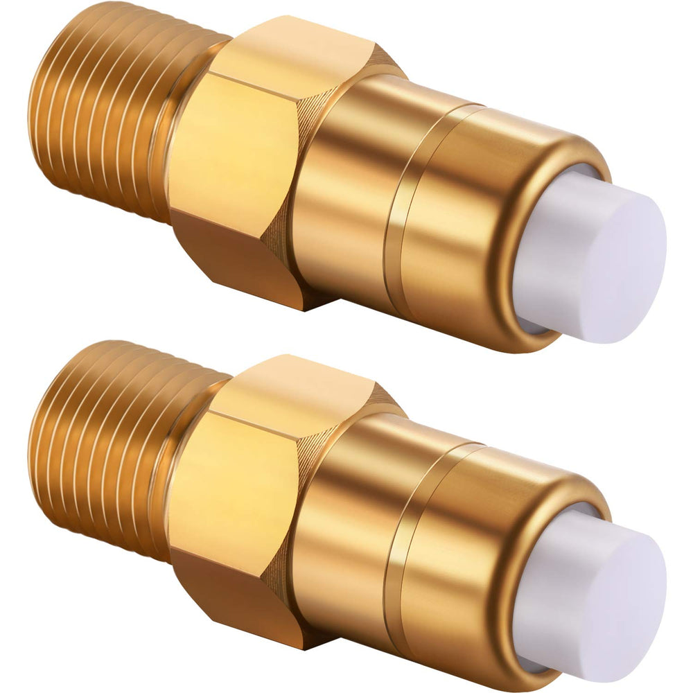 Hotop 1/4 inch brass thermal release valve front view