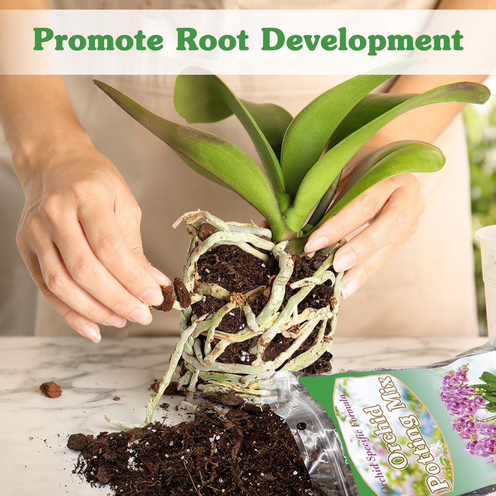 HOUNANG Orchid Potting Mix with orchids in bloom