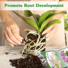 HOUNANG Orchid Potting Mix with orchids in bloom