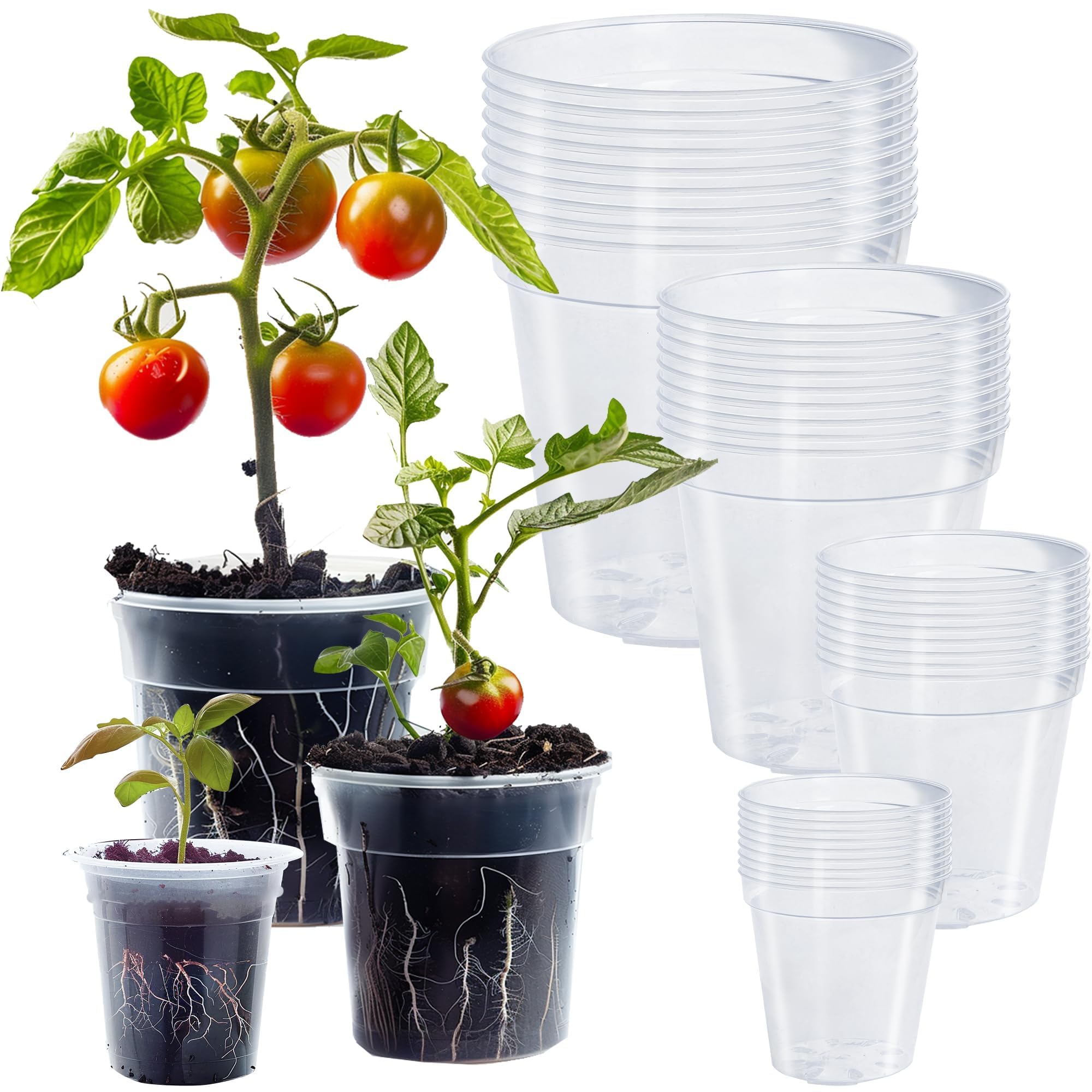 Hourleey 36 Pack Clear Nursery Pots 4/5/6/7 inches front view