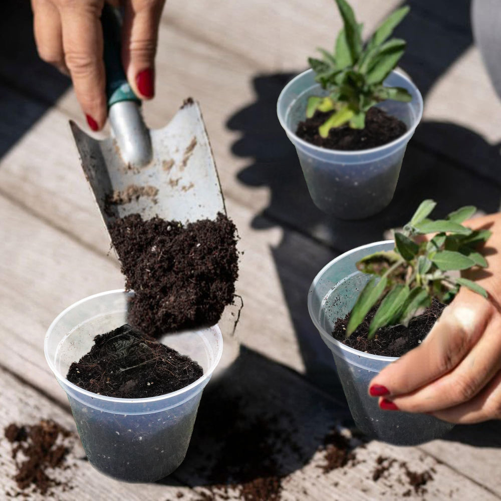 Hourleey nursery pot with a small plant inside