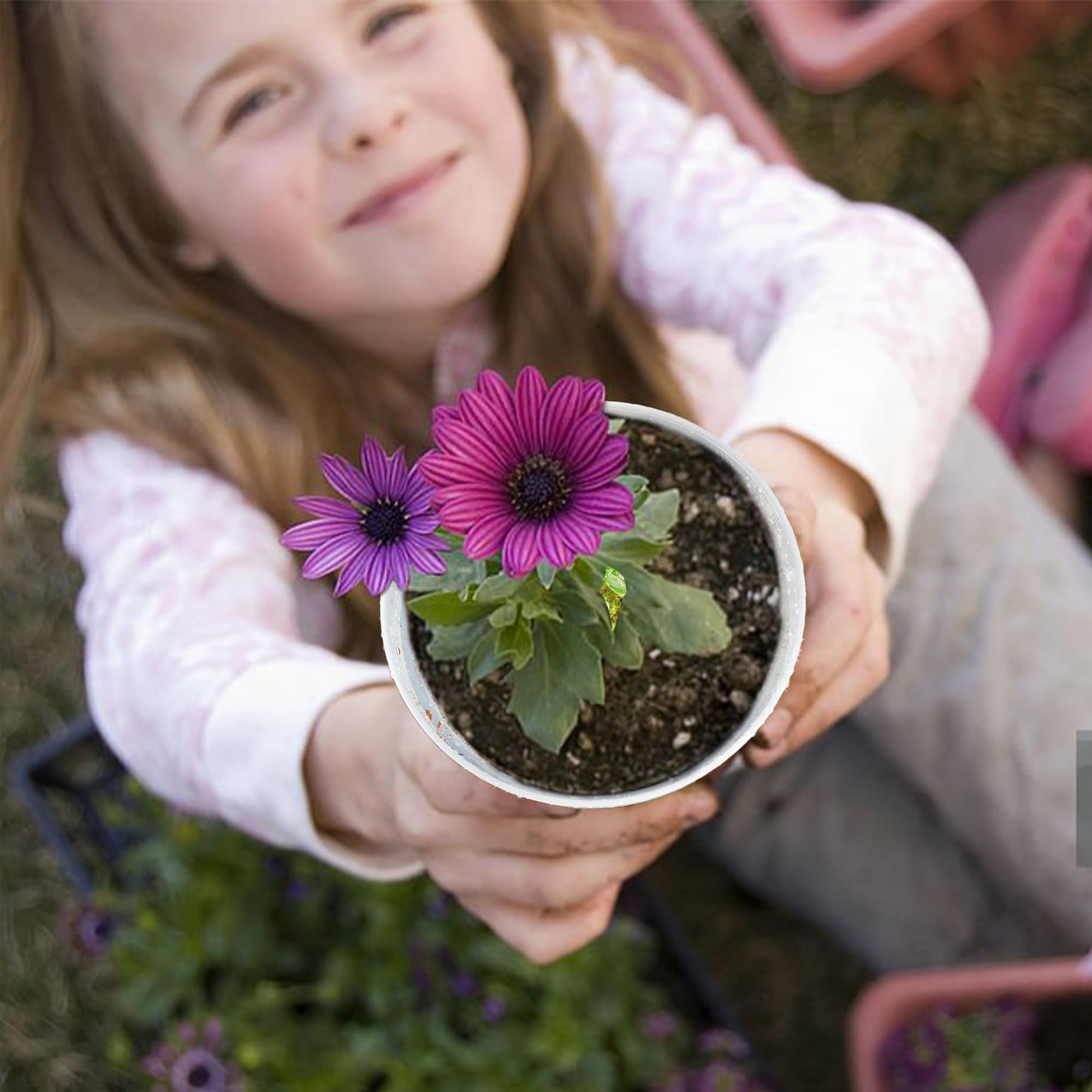 Hourleey nursery pots in a outdoor garden setting