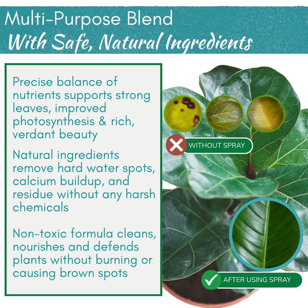 Houseplant Leaf Shine Spray application on Monstera leaves